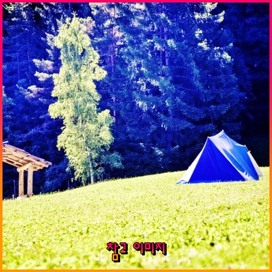 탄소배출권 관련 주식 투자, 어떻게 시작할까?