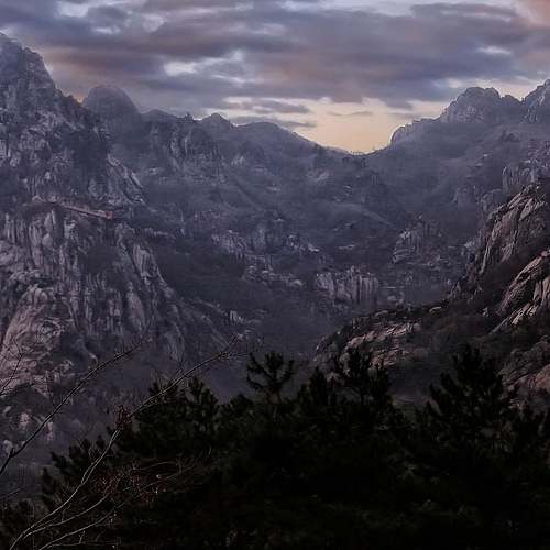 고약사 추천! 포도씨추출물, 내게 맞는 제품과 활용법 완벽 가이드 고약사 추천! 포도씨추출물, 내게 맞는 제품과 활용법 완벽 가이드