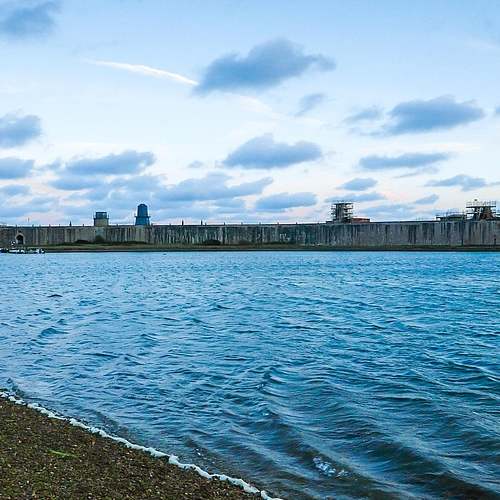 면역력을 높이는 영양 보조제! 당신의 건강을 위한 필수 아이템