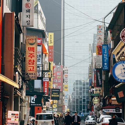 2025 서울마라톤, 역대 최대 규모로 심장을 뛰게 하다!