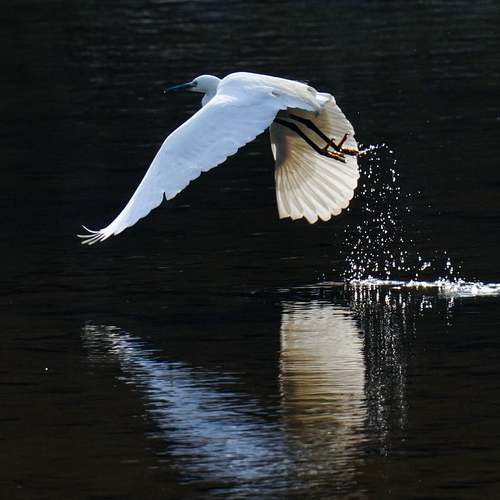 소상공인 방역지원금 600만 원 지급일, 당신의 희망을 현실로 만들다