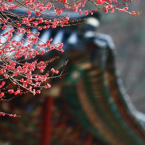 제주도의 숨은 명소, 인생샷 보장하는 비밀스러운 여행지 Top 10