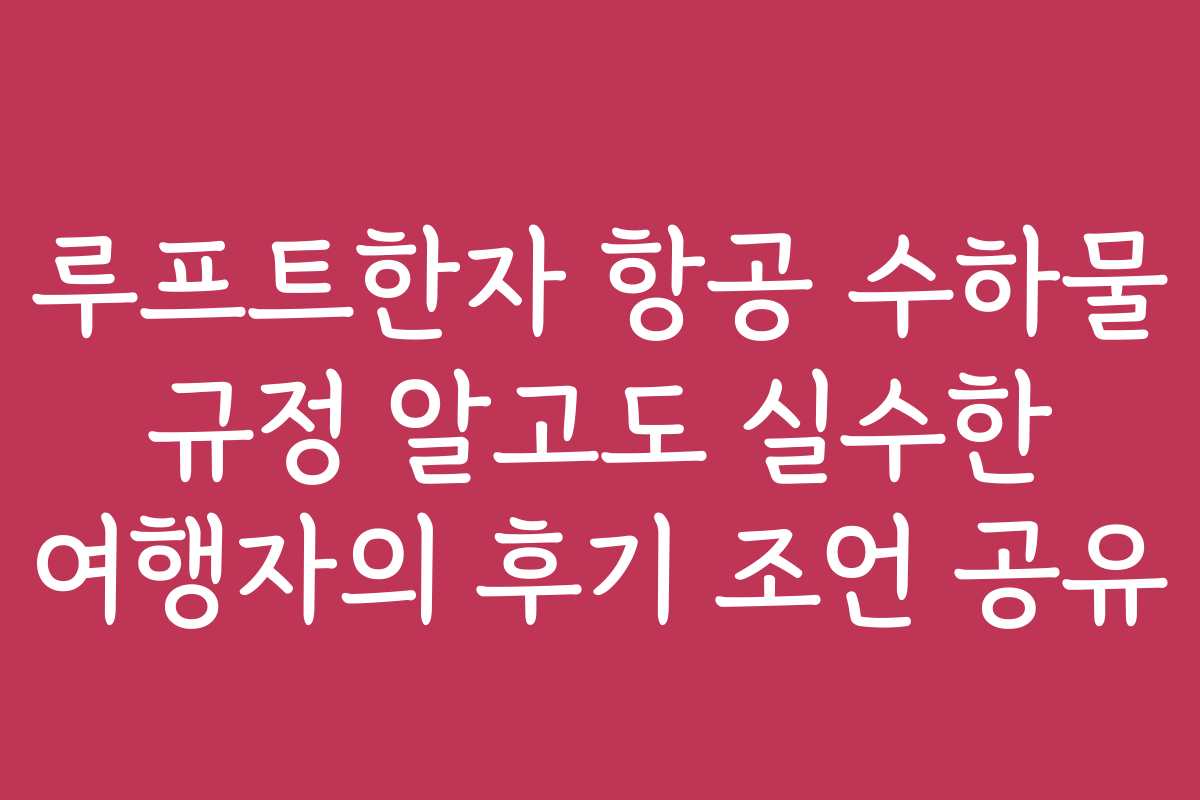 루프트한자 항공 수하물 규정 알고도 실수한 여행자의 후기 조언 공유