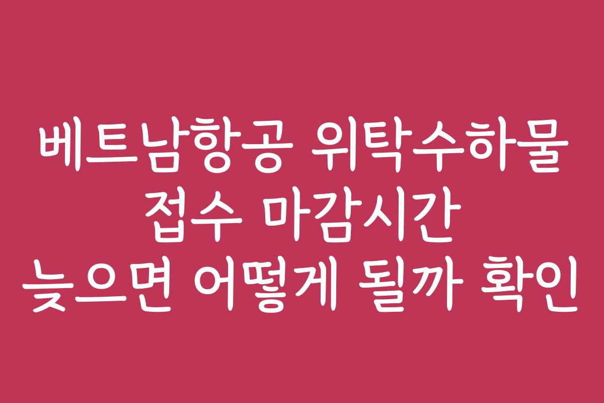 베트남항공 위탁수하물 접수 마감시간 늦으면 어떻게 될까 확인