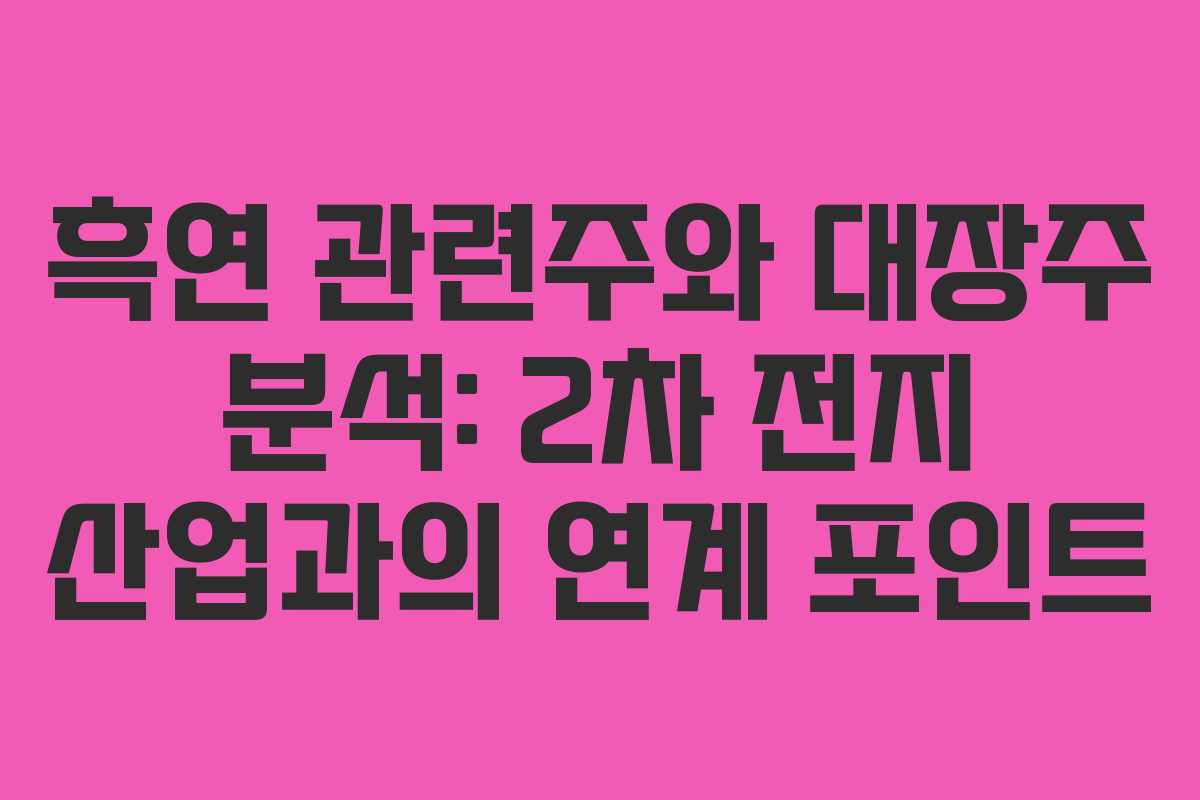 흑연 관련주와 대장주 분석: 2차 전지 산업과의 연계 포인트