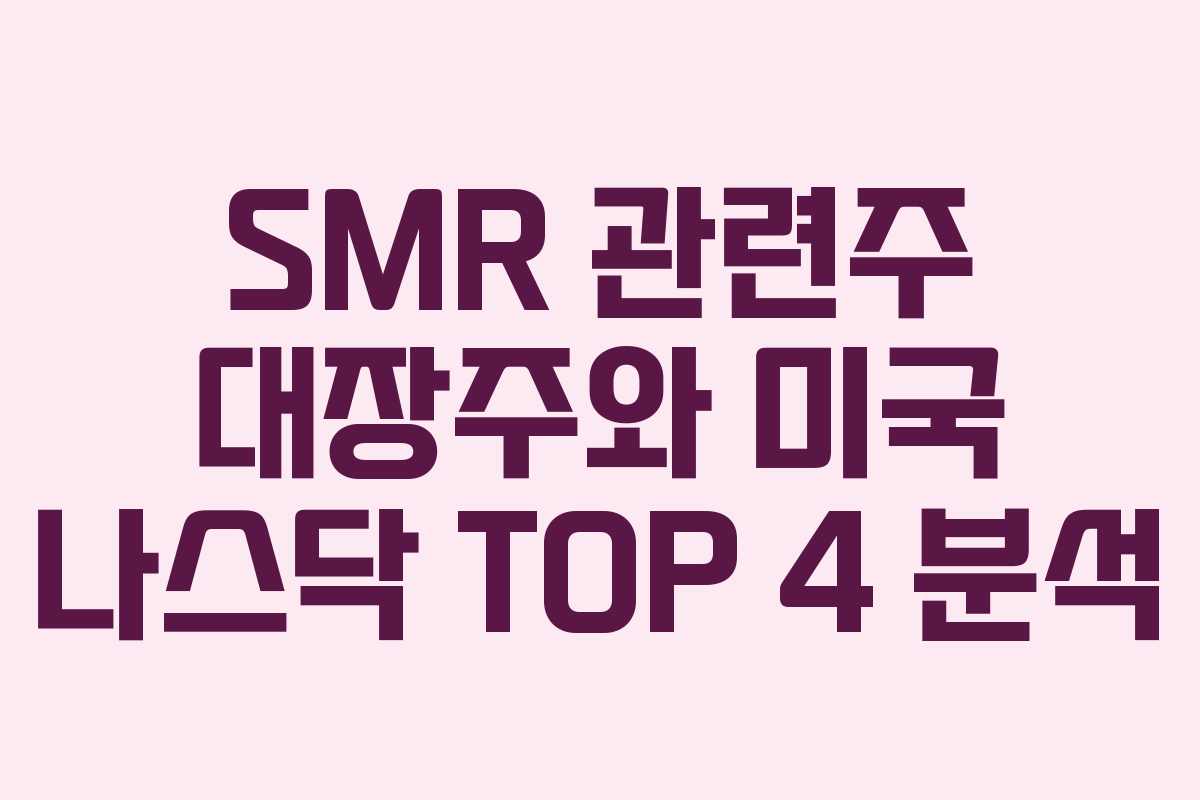 SMR 관련주 대장주와 미국 나스닥 TOP 4 분석