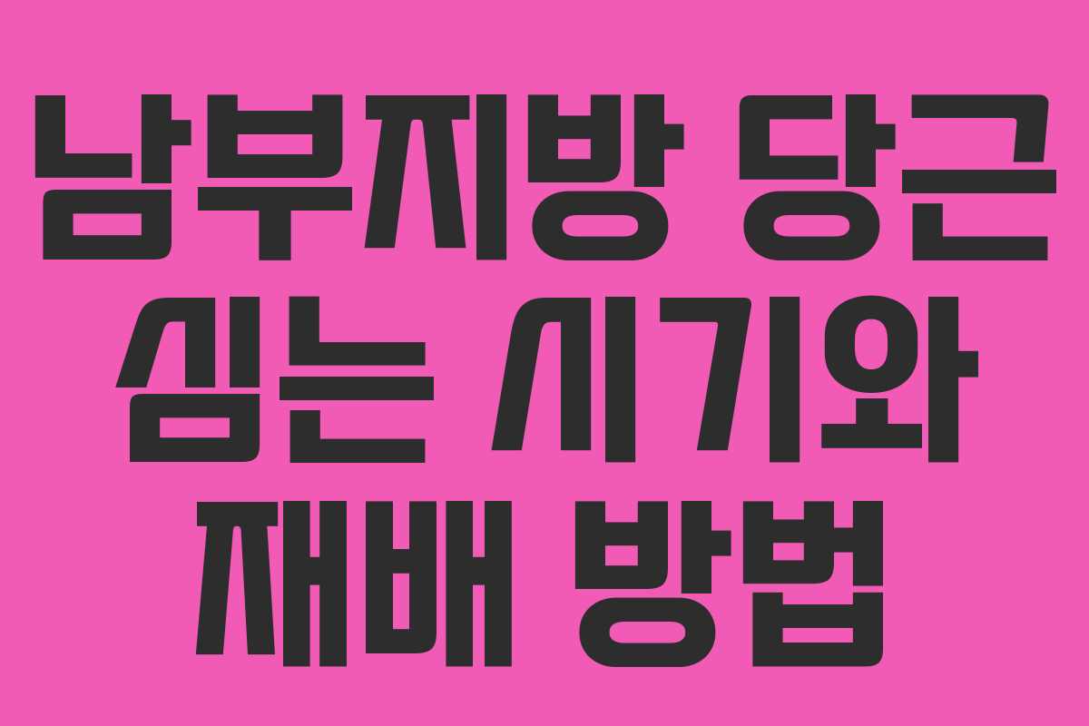 남부지방 당근 심는 시기와 재배 방법