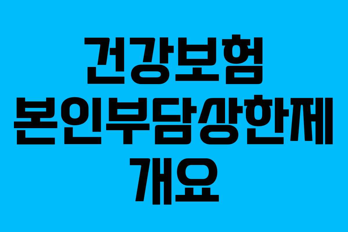 건강보험 본인부담상한제 개요