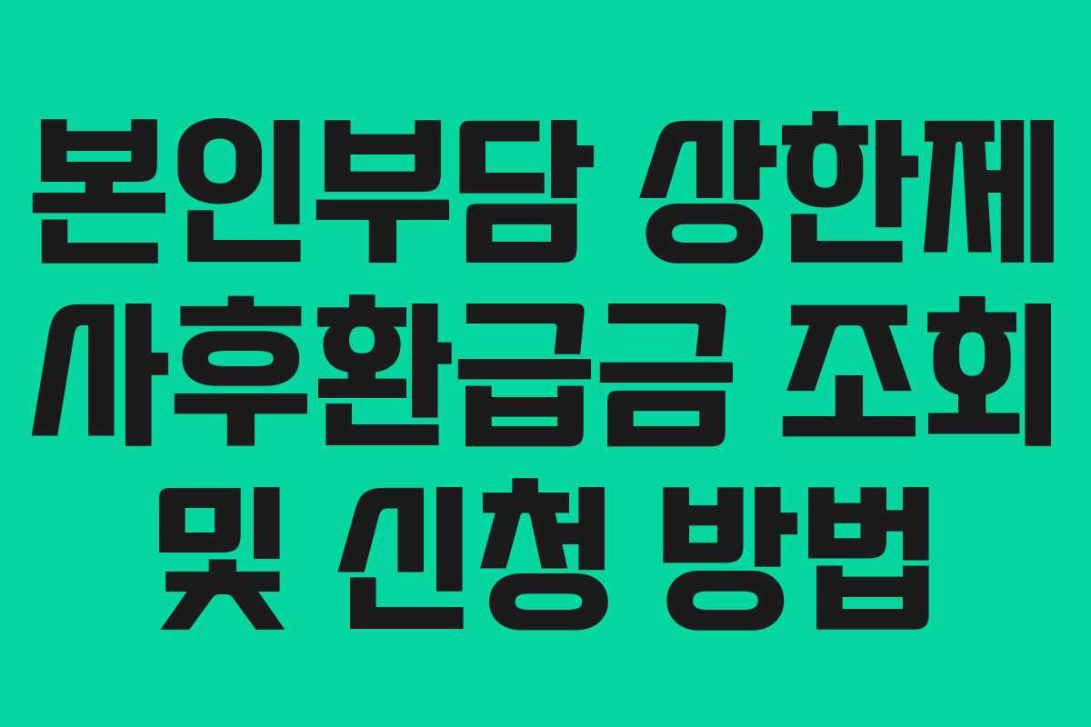 본인부담 상한제 사후환급금 조회 및 신청 방법