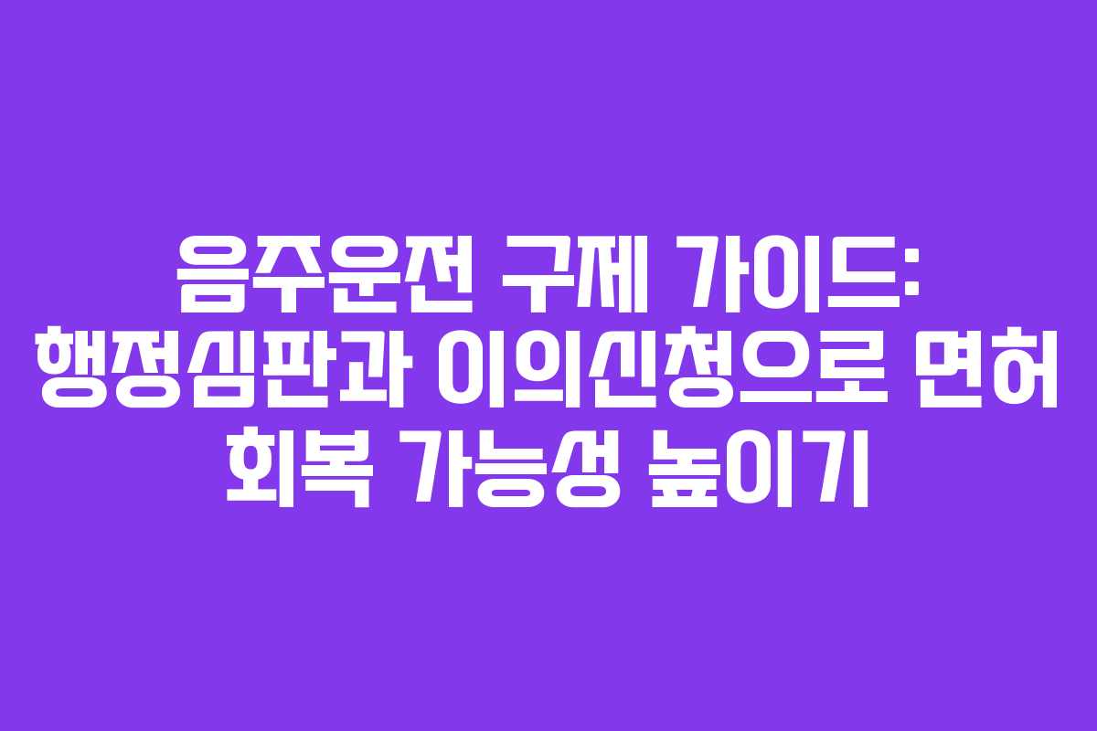 음주운전 구제 가이드: 행정심판과 이의신청으로 면허 회복 가능성 높이기