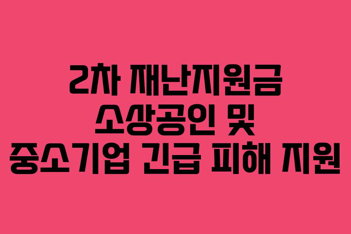 2차 재난지원금 소상공인 및 중소기업 긴급 피해 지원