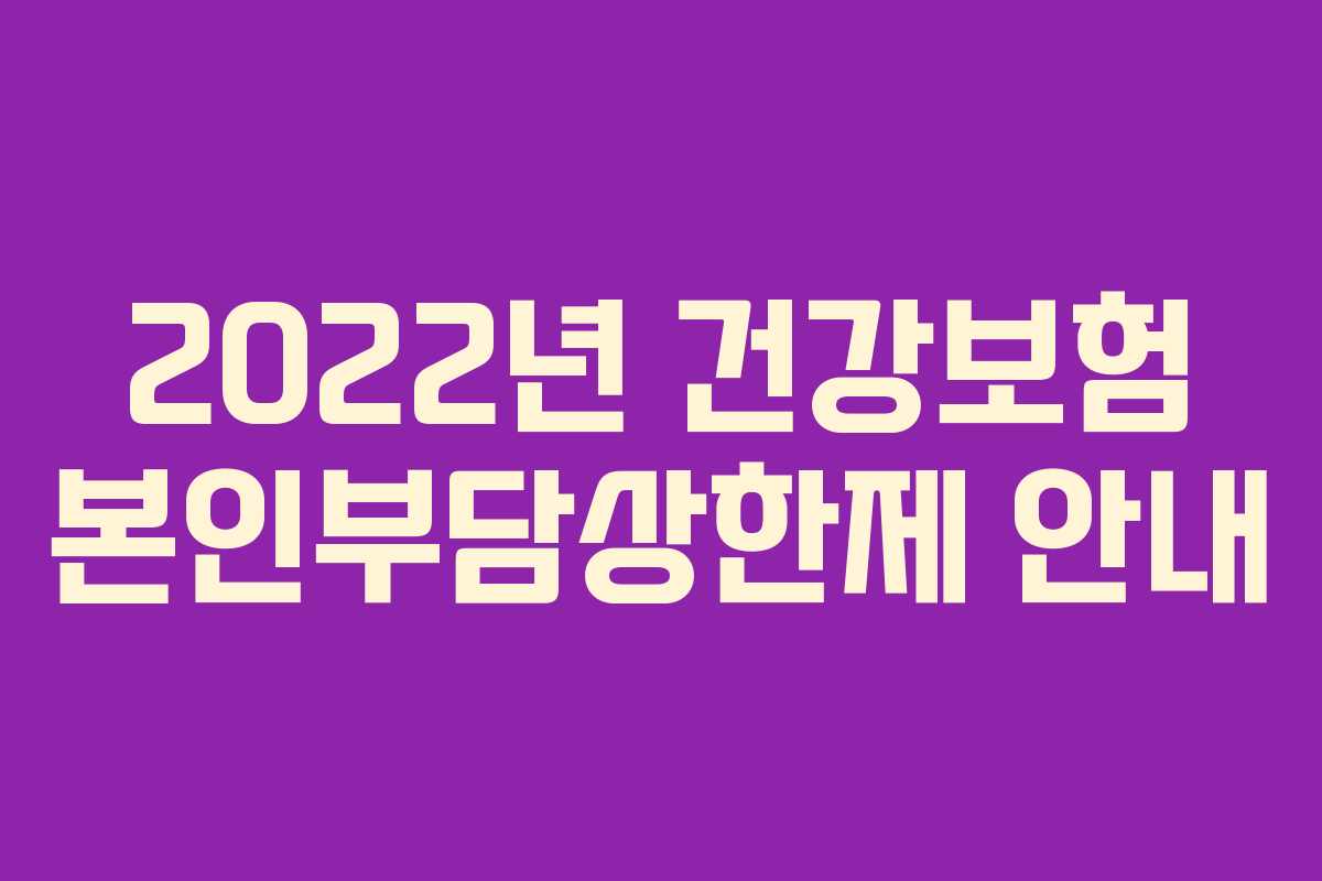2022년 건강보험 본인부담상한제 안내