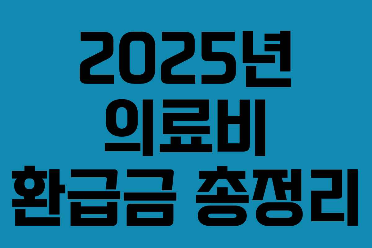 2025년 의료비 환급금 총정리