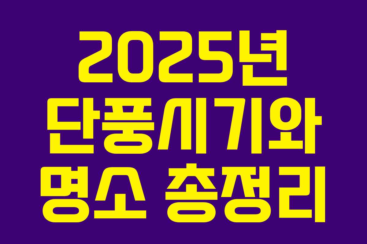 2025년 단풍시기와 명소 총정리 2025년 단풍시기와 명소 총정리