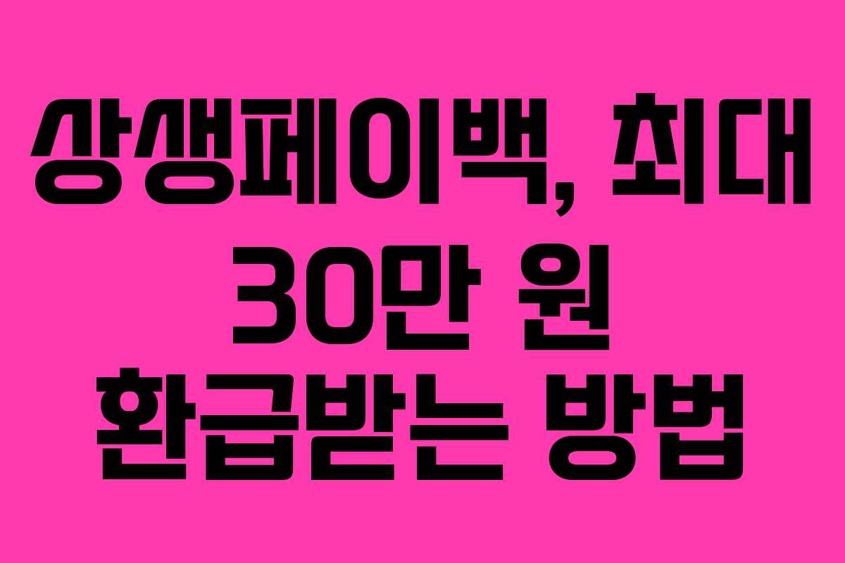 상생페이백, 최대 30만 원 환급받는 방법