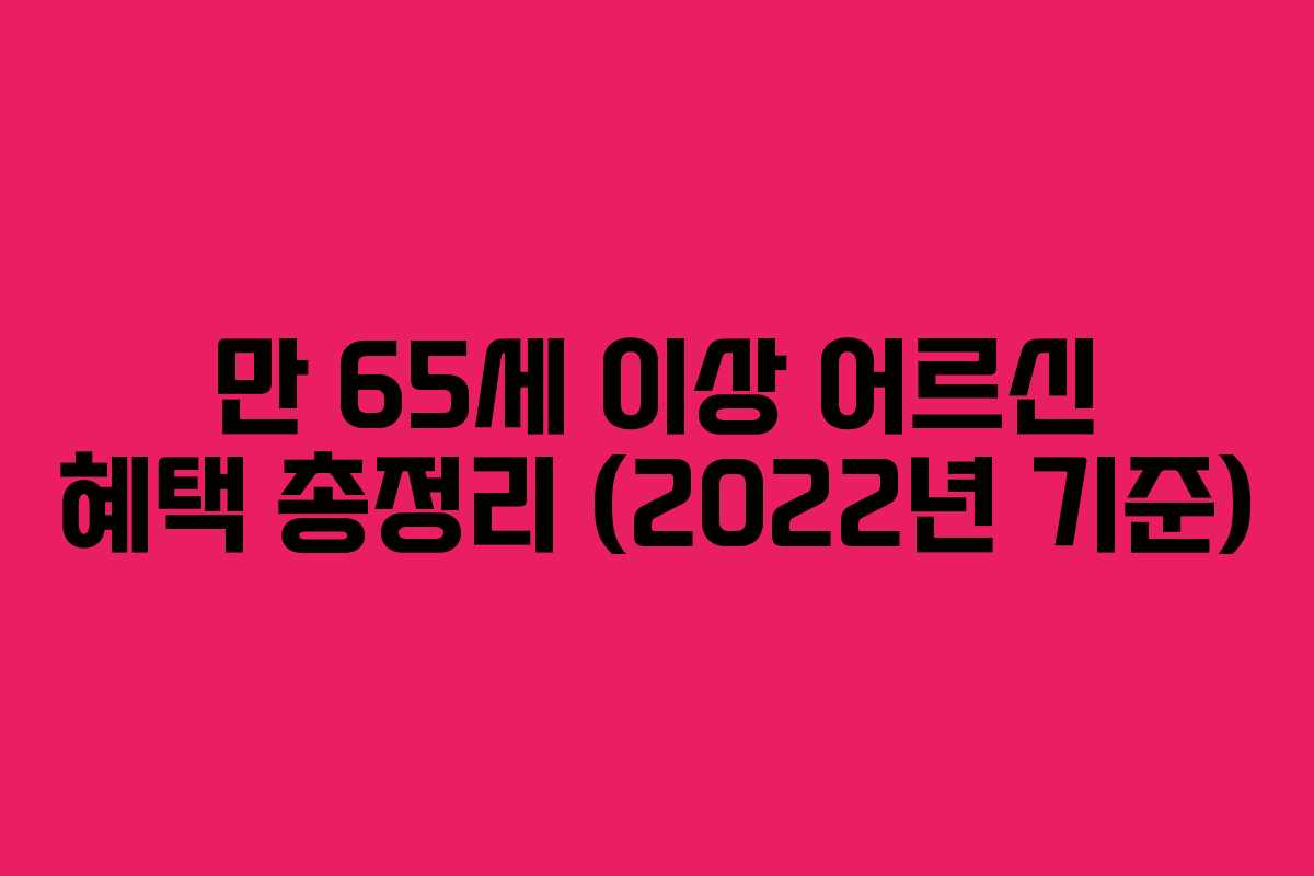 만 65세 이상 어르신 혜택 총정리 (2022년 기준) 만 65세 이상 어르신 혜택 총정리 (2022년 기준)