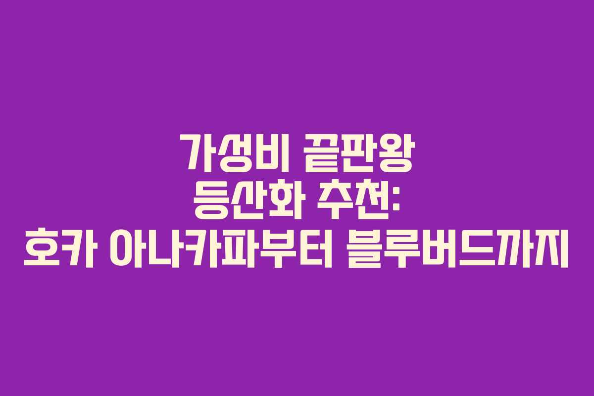 가성비 끝판왕 등산화 추천: 호카 아나카파부터 블루버드까지