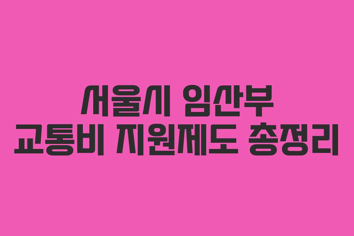 서울시 임산부 교통비 지원제도 총정리 서울시 임산부 교통비 지원제도 총정리