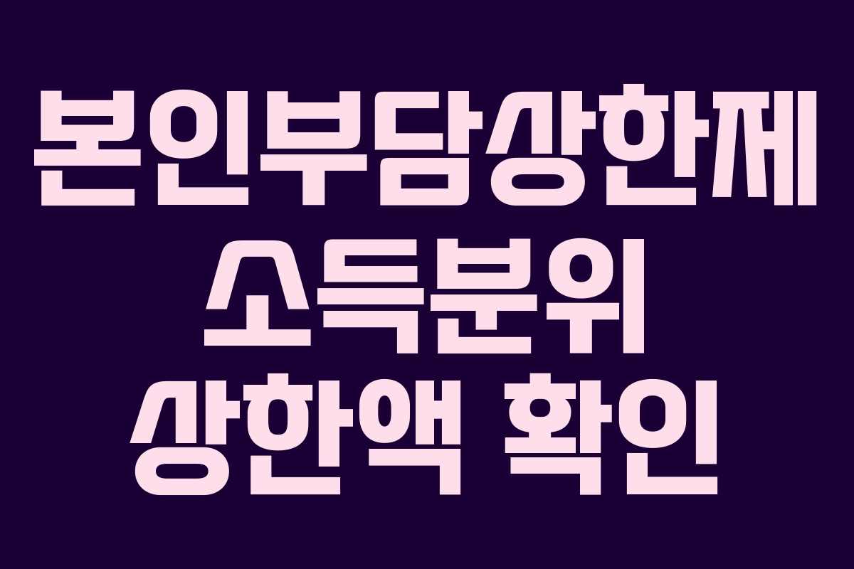 본인부담상한제 소득분위 상한액 확인