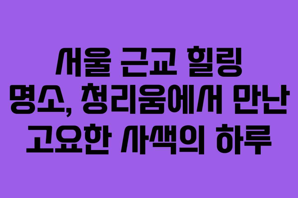 서울 근교 힐링 명소, 청리움에서 만난 고요한 사색의 하루