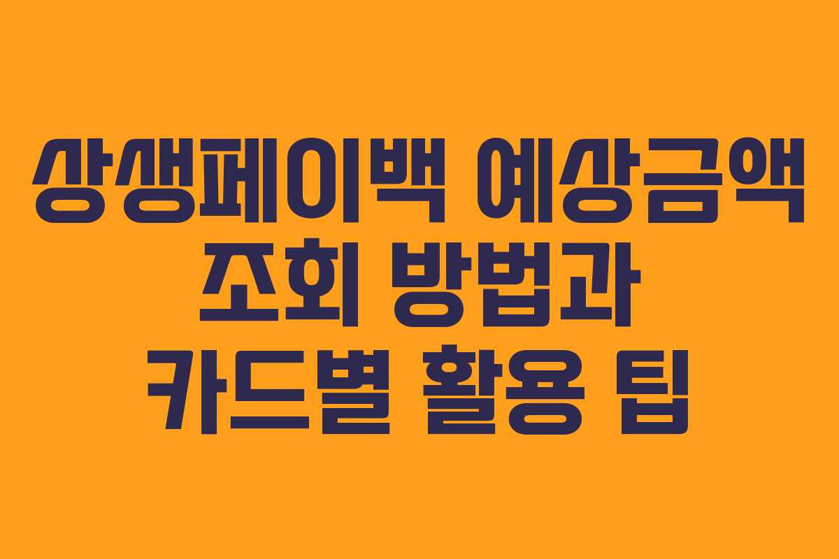 상생페이백 예상금액 조회 방법과 카드별 활용 팁