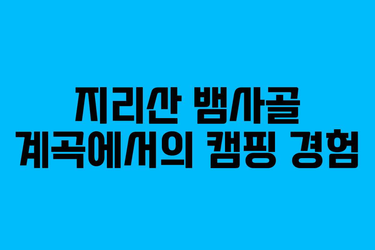 지리산 뱀사골 계곡에서의 캠핑 경험