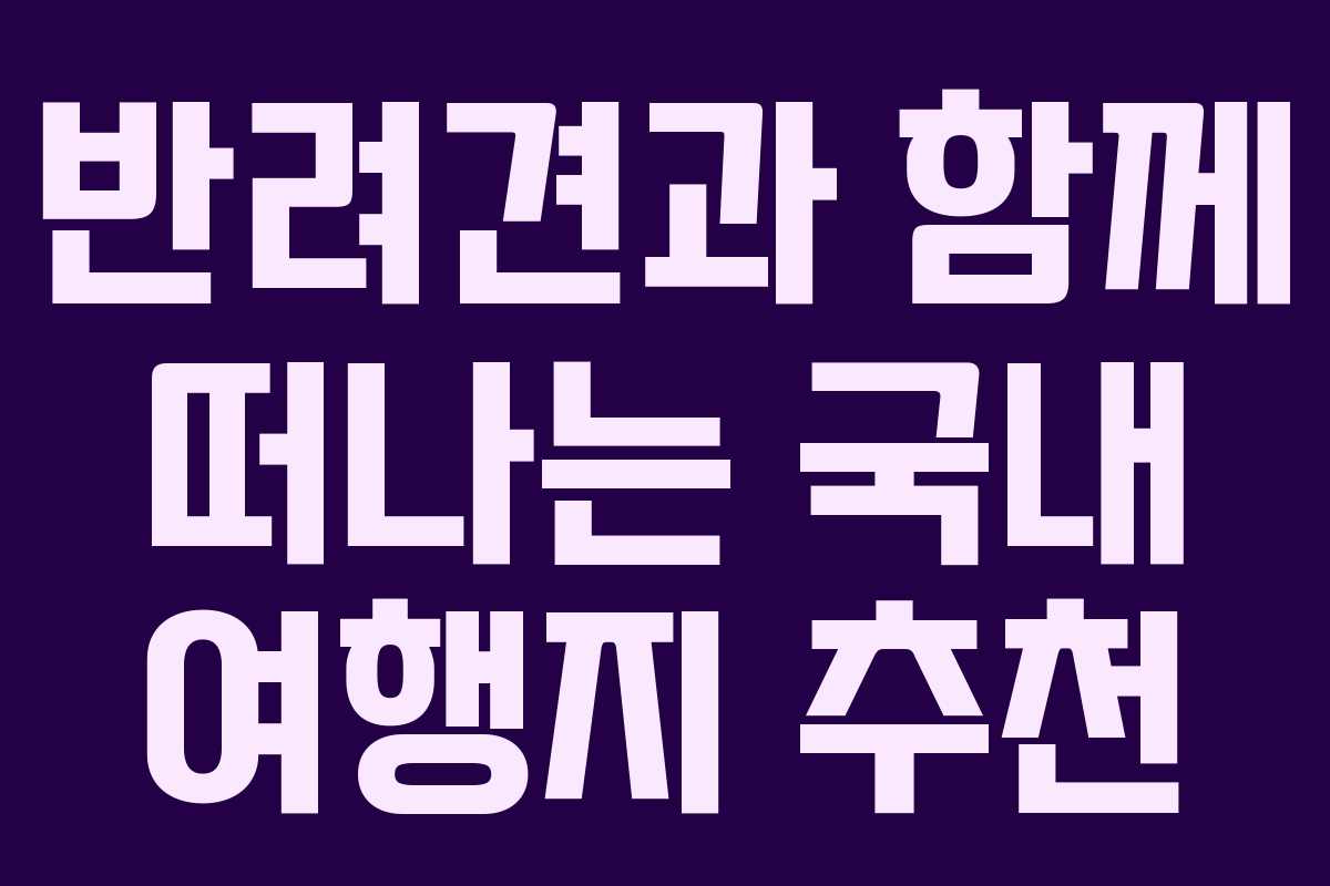 반려견과 함께 떠나는 국내 여행지 추천