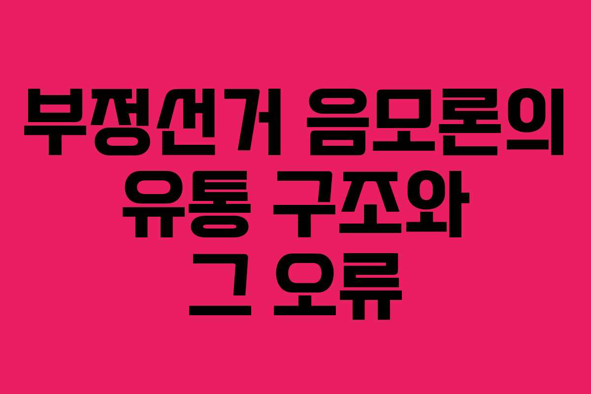 부정선거 음모론의 유통 구조와 그 오류