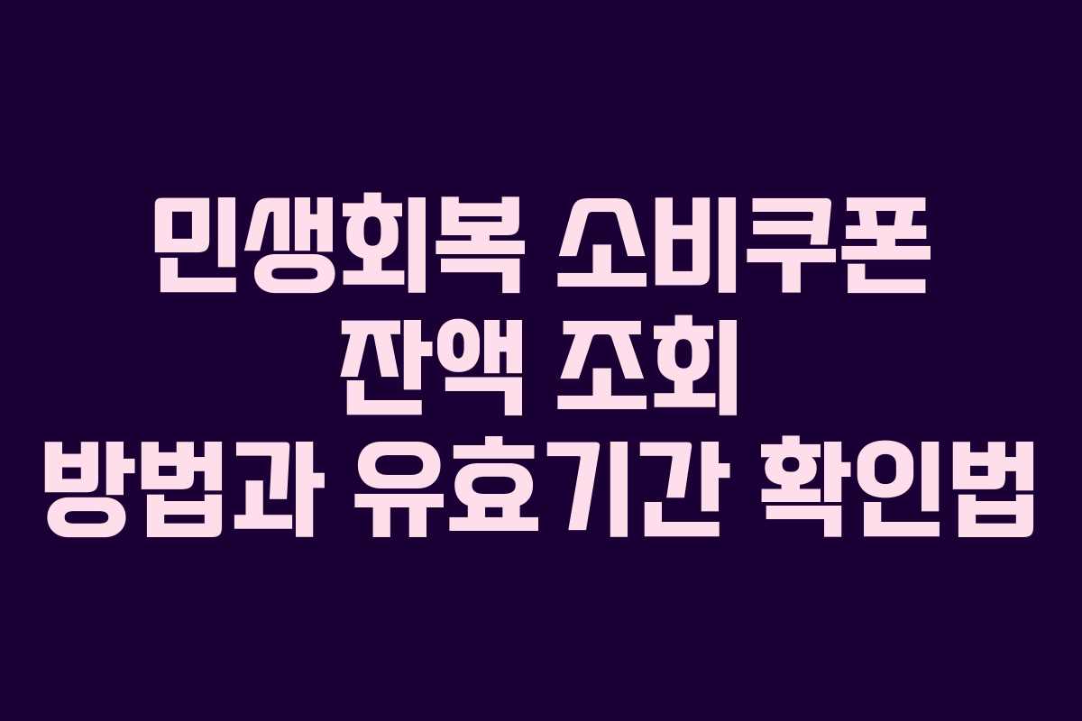 민생회복 소비쿠폰 잔액 조회 방법과 유효기간 확인법
