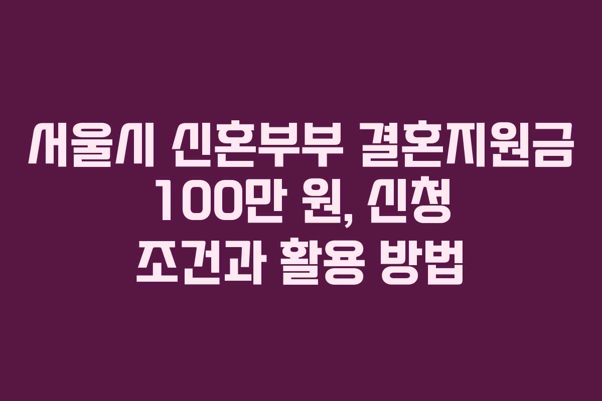 서울시 신혼부부 결혼지원금 100만 원, 신청 조건과 활용 방법 서울시 신혼부부 결혼지원금 100만 원, 신청 조건과 활용 방법