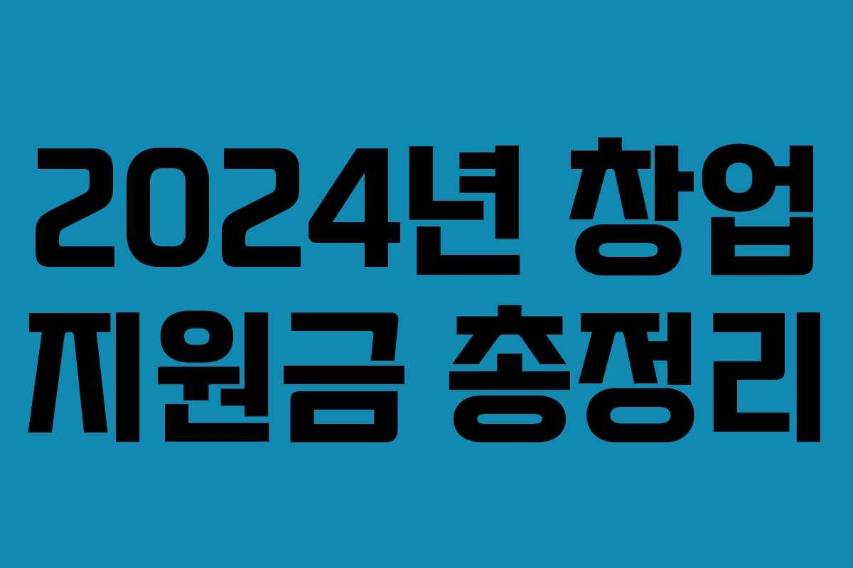 2024년 창업 지원금 총정리 2024년 창업 지원금 총정리