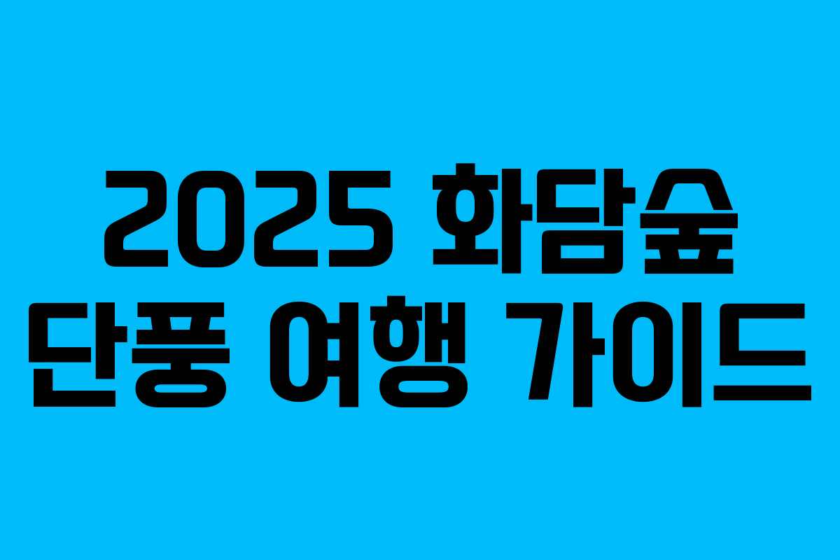 2025 화담숲 단풍 여행 가이드