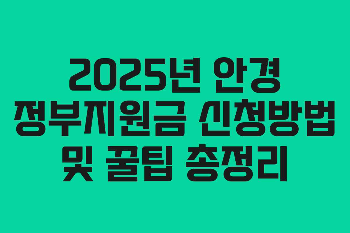 2025년 안경 정부지원금 신청방법 및 꿀팁 총정리 2025년 안경 정부지원금 신청방법 및 꿀팁 총정리