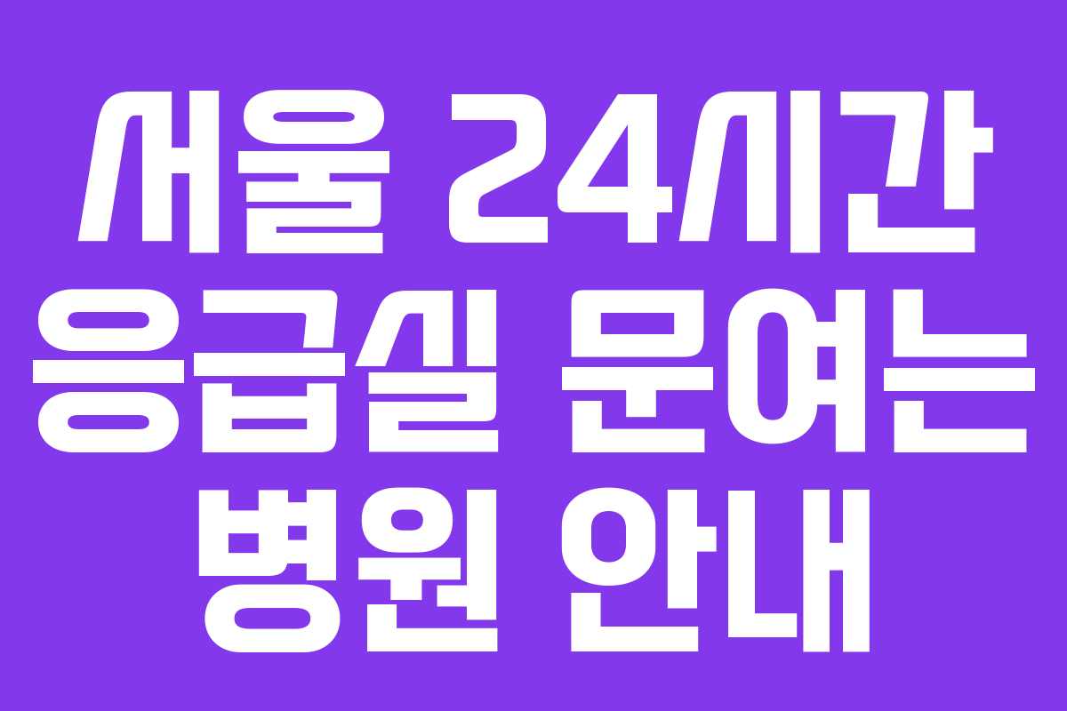 서울 24시간 응급실 문여는 병원 안내
