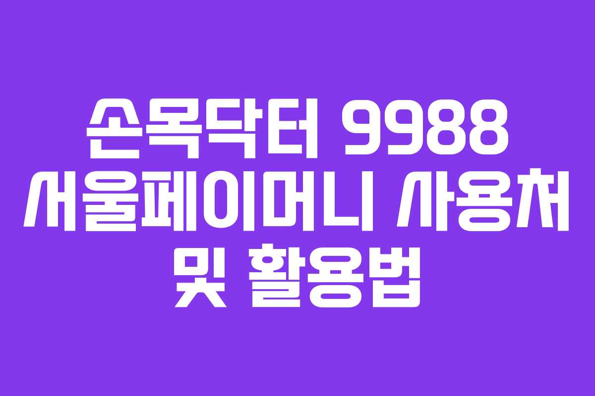 손목닥터 9988 서울페이머니 사용처 및 활용법
