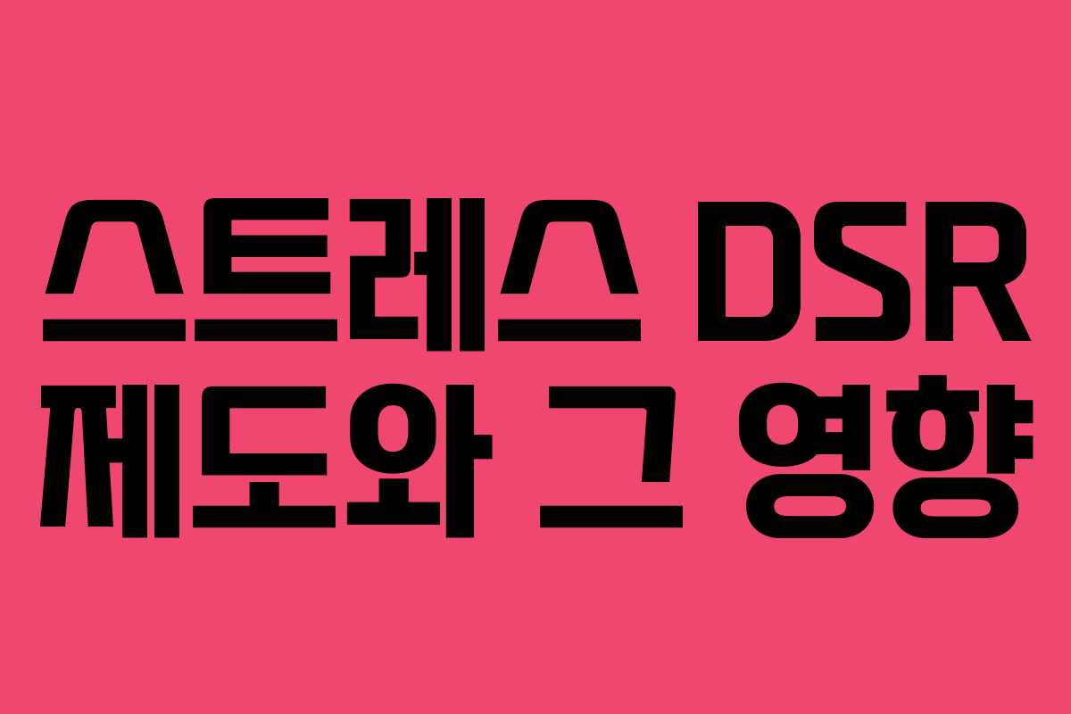스트레스 DSR 제도와 그 영향