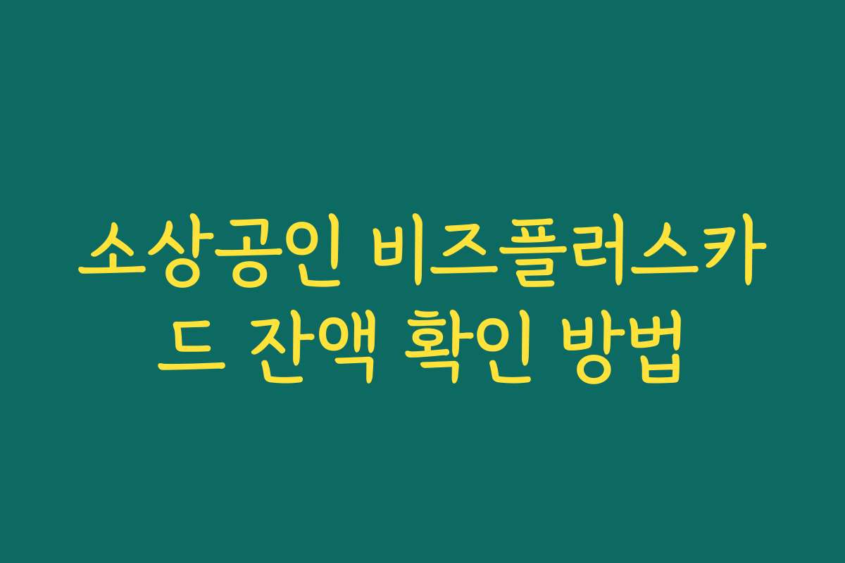 소상공인 비즈플러스카드 잔액 확인 방법 소상공인 비즈플러스카드 잔액 확인 방법