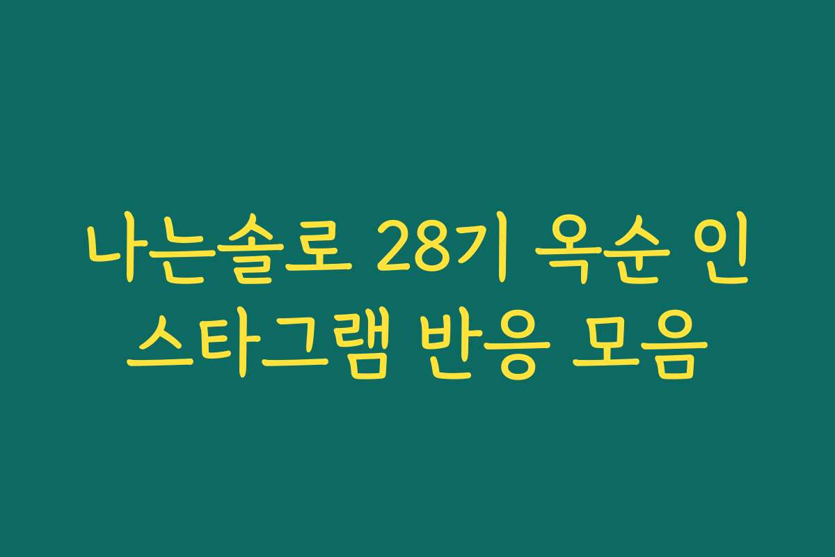 나는솔로 28기 옥순 인스타그램 반응 모음 나는솔로 28기 옥순 인스타그램 반응 모음