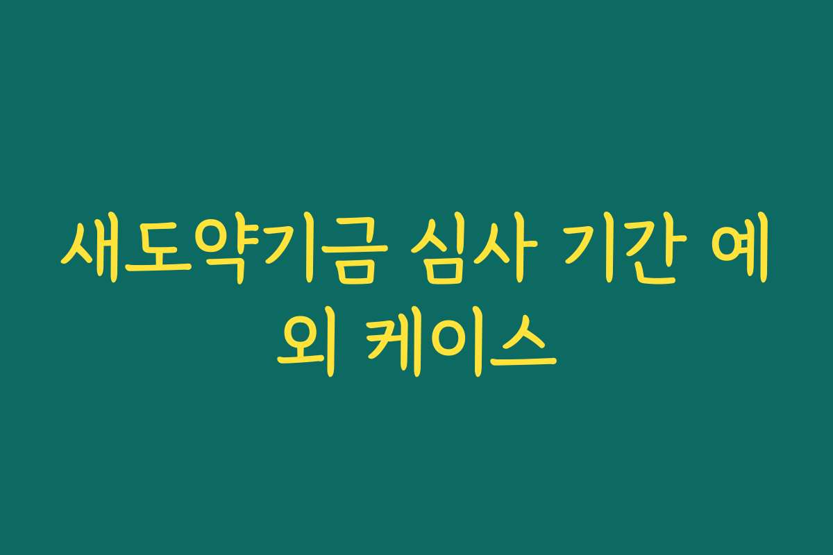 새도약기금 심사 기간 예외 케이스