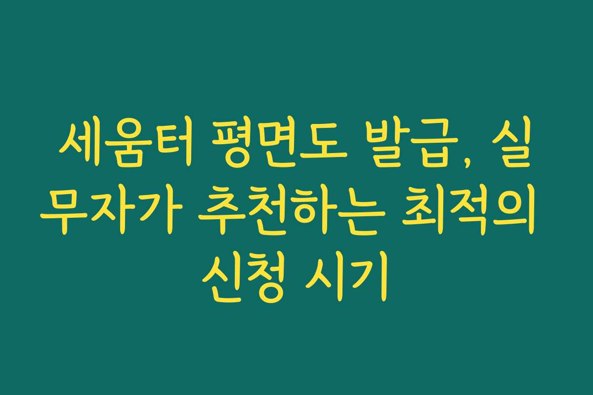 세움터 평면도 발급, 실무자가 추천하는 최적의 신청 시기