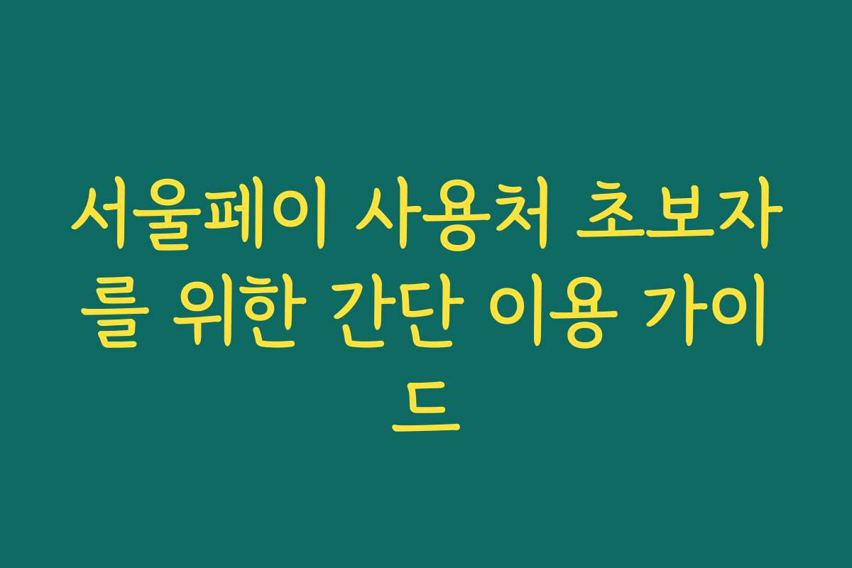 서울페이 사용처 초보자를 위한 간단 이용 가이드