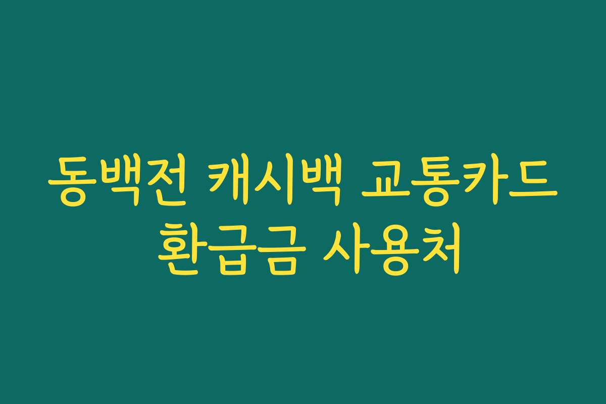 동백전 캐시백 교통카드 환급금 사용처 동백전 캐시백 교통카드 환급금 사용처