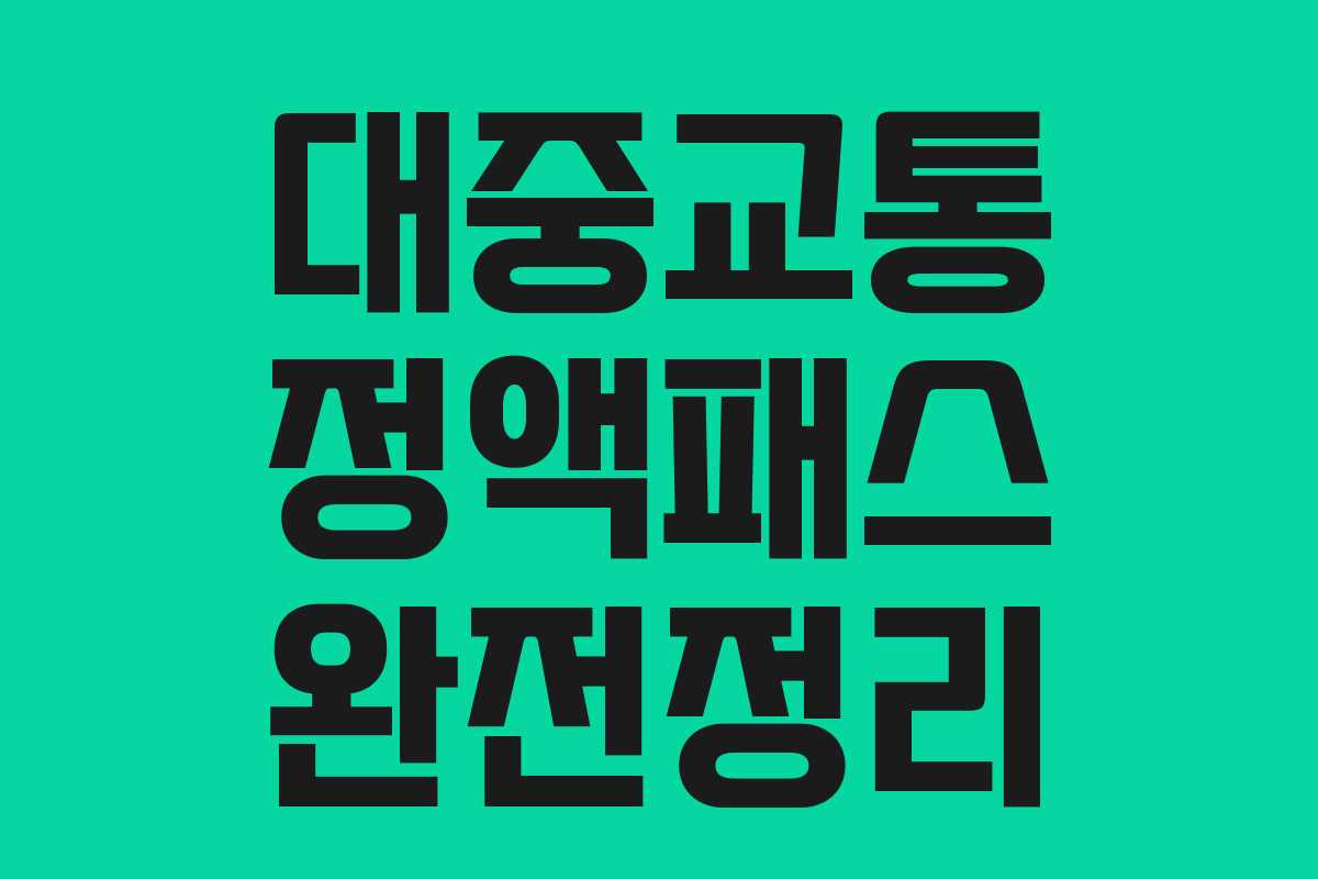 대중교통 정액패스 완전정리