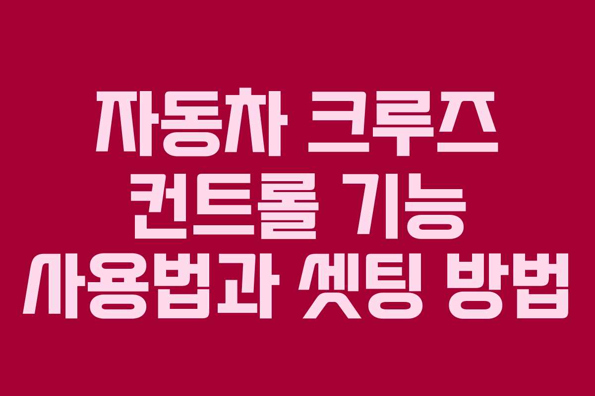 자동차 크루즈 컨트롤 기능 사용법과 셋팅 방법