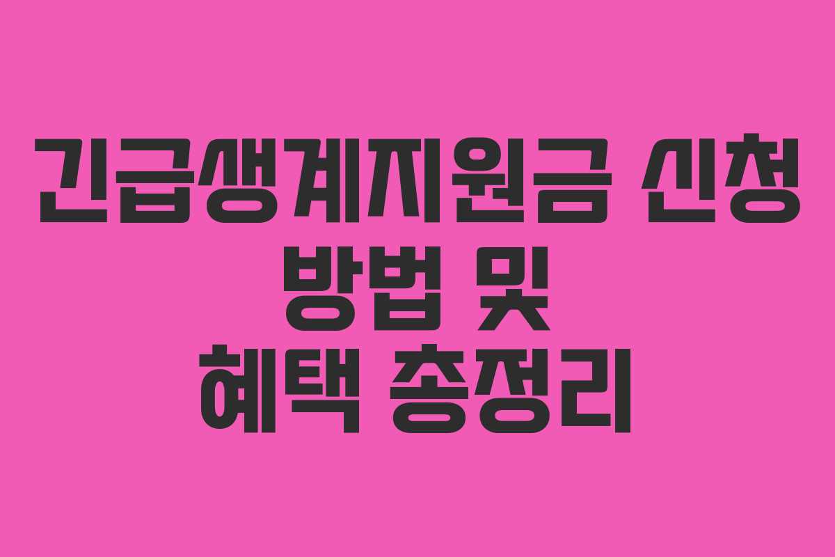 긴급생계지원금 신청 방법 및 혜택 총정리 긴급생계지원금 신청 방법 및 혜택 총정리