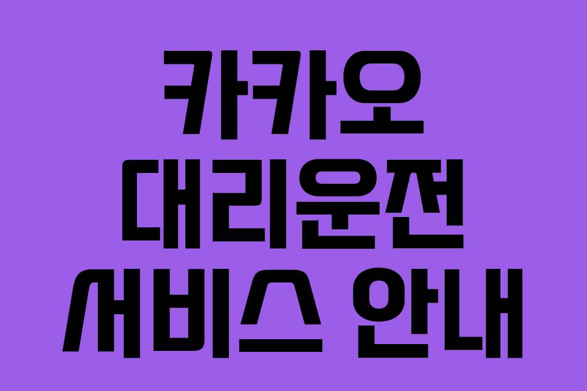 카카오 대리운전 서비스 안내 카카오 대리운전 서비스 안내