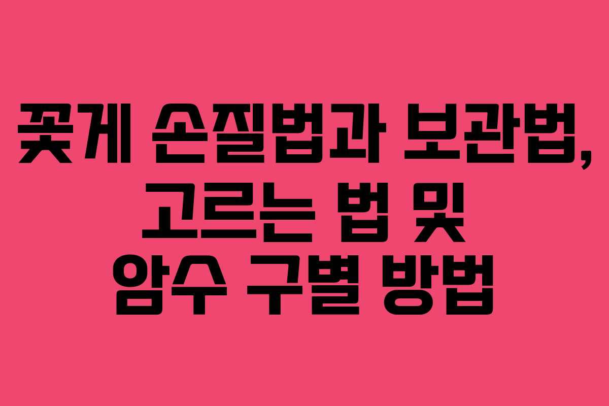 꽃게 손질법과 보관법, 고르는 법 및 암수 구별 방법 꽃게 손질법과 보관법, 고르는 법 및 암수 구별 방법