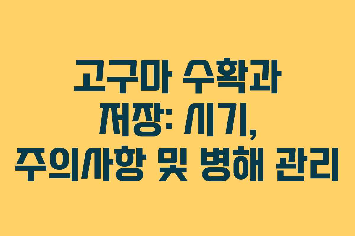 고구마 수확과 저장: 시기, 주의사항 및 병해 관리