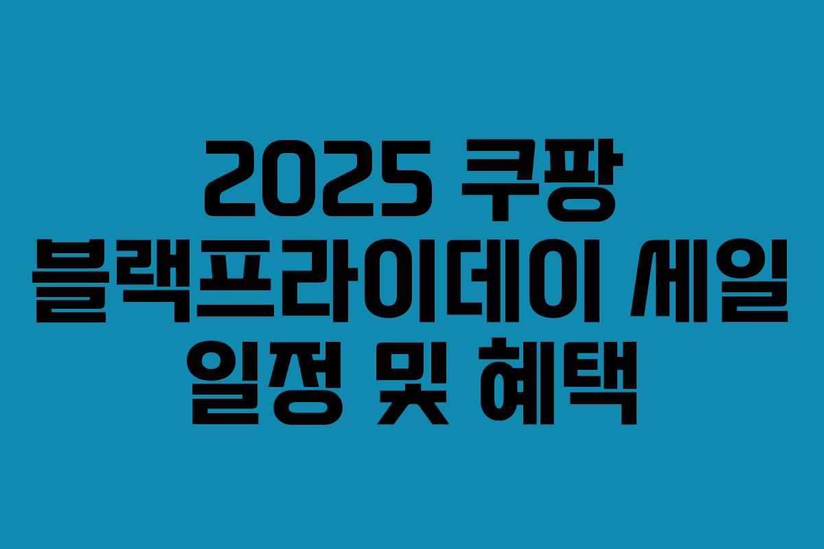 2025 쿠팡 블랙프라이데이 세일 일정 및 혜택 2025 쿠팡 블랙프라이데이 세일 일정 및 혜택
