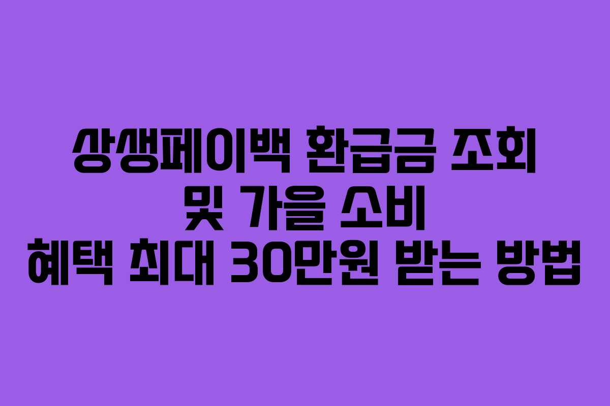 상생페이백 환급금 조회 및 가을 소비 혜택 최대 30만원 받는 방법